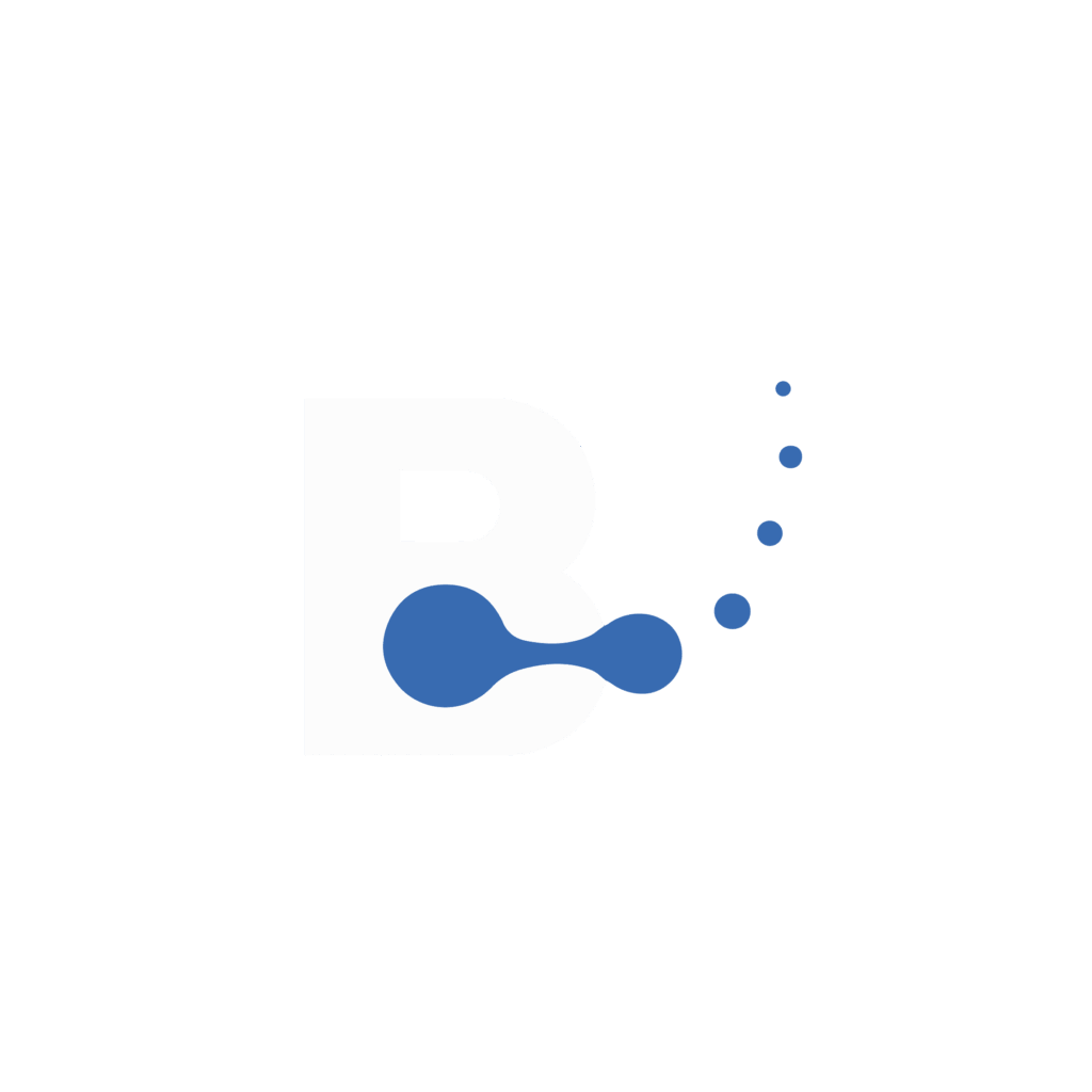 bridova logo mesa de trabajo 1 mesa de trabajo 1 mesa de trabajo 1